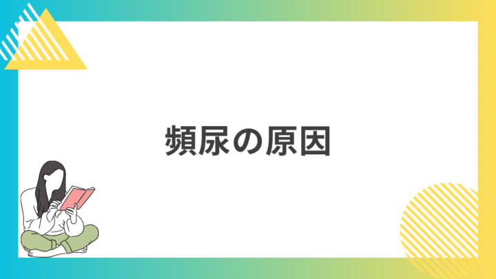 頻尿の原因。処方箋なし市販で病院のお薬が買えるGrand薬局上野店。東京上野の零売薬局。